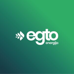 Egto energija