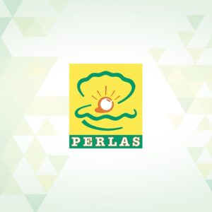 Perlas Energija elektros energijos tarifai