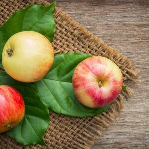 parama obuolių augintojams